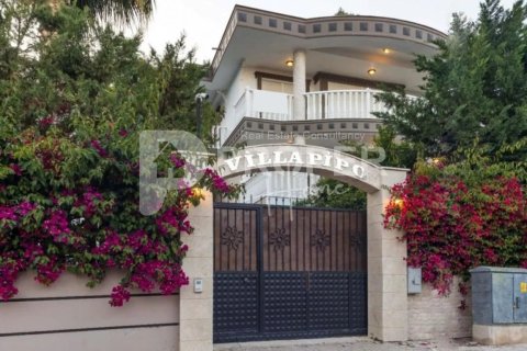 6 rooms Villa in Nenh, Vietnam No. 14470 11