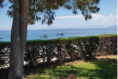 3 rooms Apartment in Laconia, Greece No. 55822 8