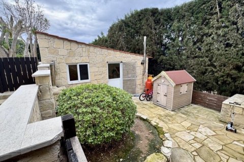 5 chambres Bungalow à Paphos, Cyprus No. 81624 24