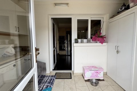 5 chambres Bungalow à Paphos, Cyprus No. 81624 12