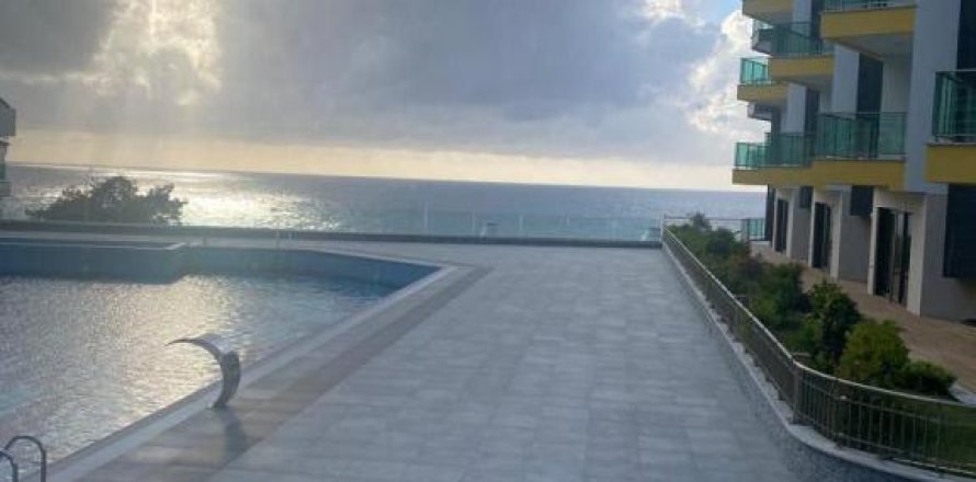 4 rooms Apartment in Lien Chieu, Vietnam No. 21517