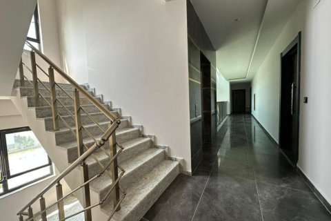 5 rooms Apartment in Tri Phuong, Vietnam No. 22043 11