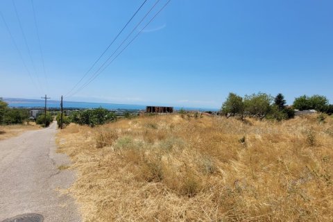 7000m² Land à Panorama, Greece No. 107486 14