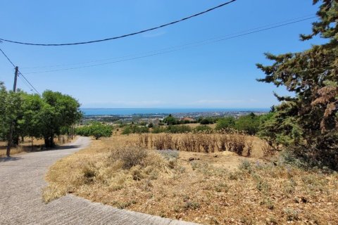 7000m² Land à Panorama, Greece No. 107486 5