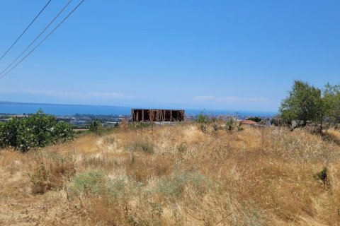 7000m² Land à Panorama, Greece No. 107486 15