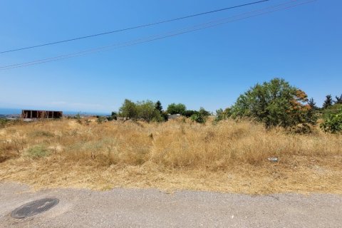 7000m² Land à Panorama, Greece No. 107486 8