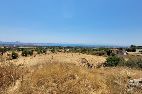 7000m² Land à Panorama, Greece No. 107486 3