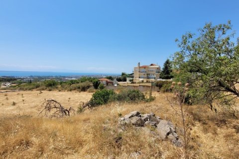 7000m² Land à Panorama, Greece No. 107486 10