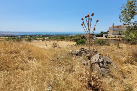7000m² Land à Panorama, Greece No. 107486 11