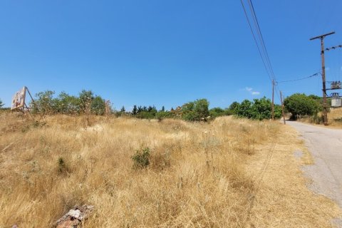 7000m² Land à Panorama, Greece No. 107486 13