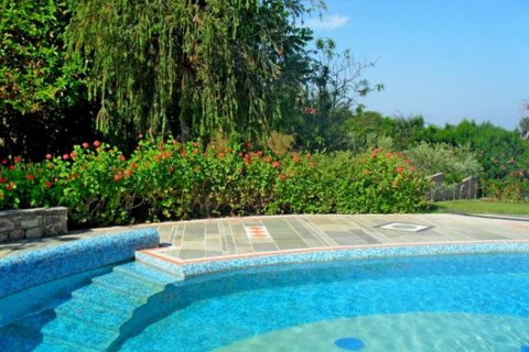 Studio Villa in Paphos, Cyprus No. 105105 7