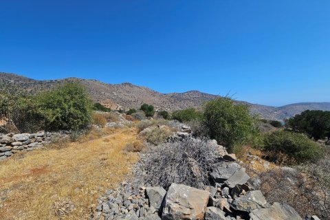 Земельный участок 13439м² в Айос-Николаос, Греция №107420 3