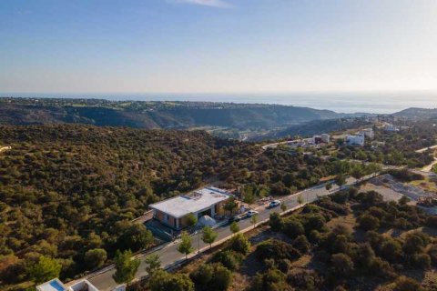 3 bedrooms House in Kouklia, Cyprus No. 78019 11