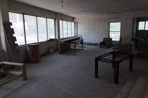 800m² Building in Ilioupoli, Greece No. 57063 3