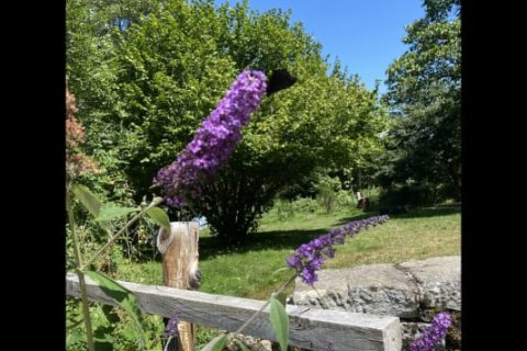 4 bedrooms House in Viscomtat, France No. 69423 3