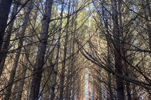 4 bedrooms House in Viscomtat, France No. 69423 25