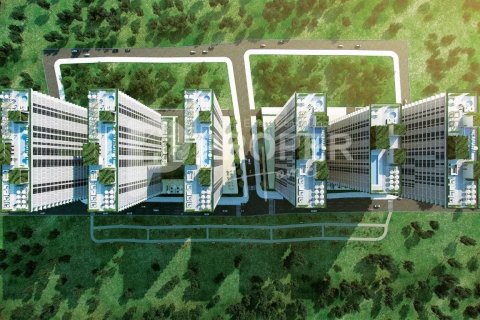 4 rooms Apartment in Tien Lang, Vietnam No. 11546 2