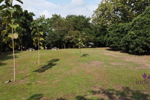 Land in Chiang Mai, Thailand No. 97674 5