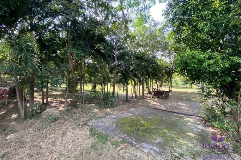 Land in Chiang Mai, Thailand No. 97674 10