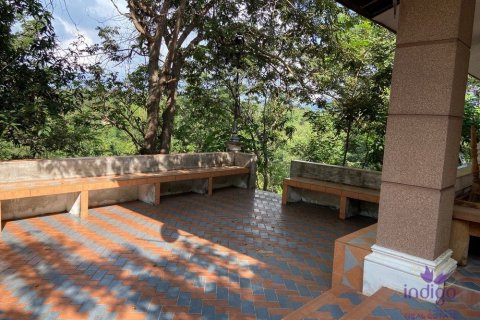 Land in Chiang Mai, Thailand No. 97674 13