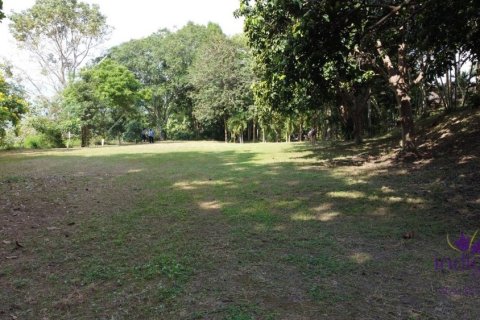 Land in Chiang Mai, Thailand No. 97674 3
