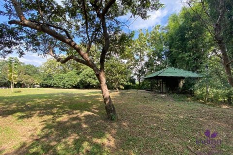 Land in Chiang Mai, Thailand No. 97674 2