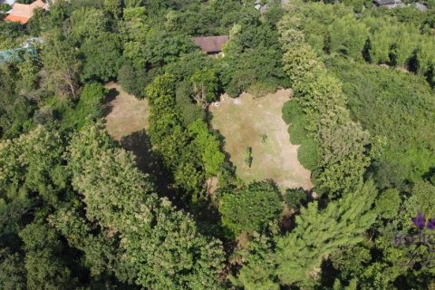 Land in Chiang Mai, Thailand No. 97674 6