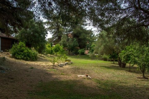 Вилла с 6 спальнями в Халкидики, Греция №58527 16