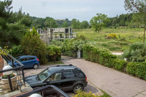 Вилла с 6 спальнями в Халкидики, Греция №58527 9