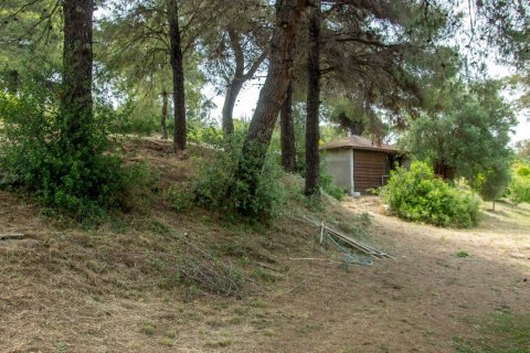 Вилла с 6 спальнями в Халкидики, Греция №58527 17