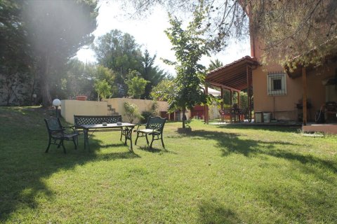 Вилла с 6 спальнями в Халкидики, Греция №58527 21