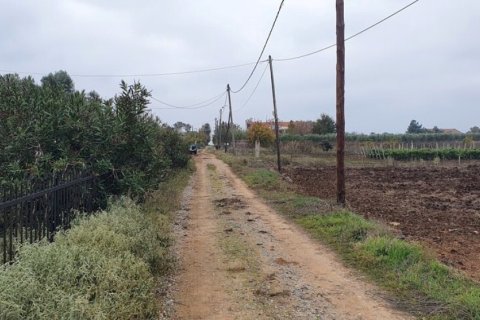 1 bedroom Villa in Chalkidiki, Greece No. 51865 3