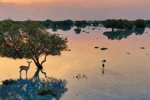 2 chambres Townhouse à Binh Duong, Vietnam No. 7932 9