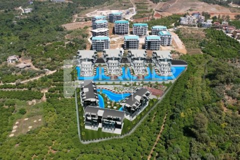 3 rooms Apartment in Chau Lang, Vietnam No. 12347 29