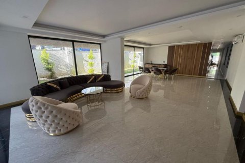 2 rooms Apartment in Chau Lang, Vietnam No. 81600 11