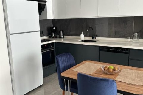 2 rooms Apartment in Chau Lang, Vietnam No. 81600 2