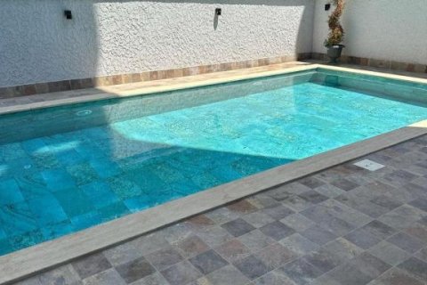 2 rooms Apartment in Chau Lang, Vietnam No. 81600 5