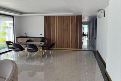 2 rooms Apartment in Chau Lang, Vietnam No. 81600 10