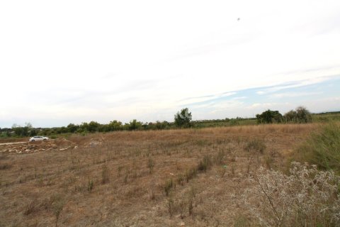 889m² Land in Tan Xuan, Vietnam No. 61906 4