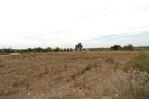 889m² Land in Tan Xuan, Vietnam No. 61906 5