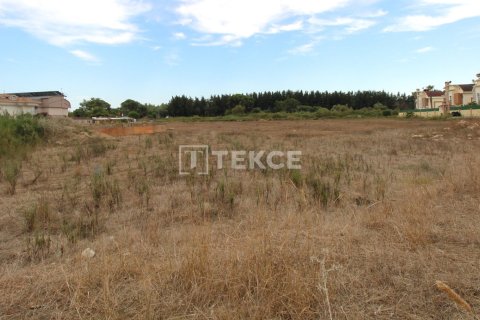 889m² Land in Tan Xuan, Vietnam No. 61906 7