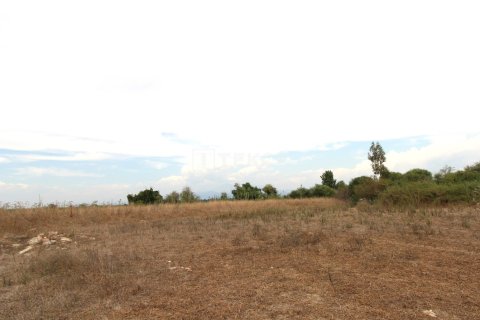 889m² Land in Tan Xuan, Vietnam No. 61906 2