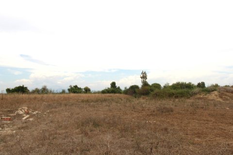 889m² Land in Tan Xuan, Vietnam No. 61906 3