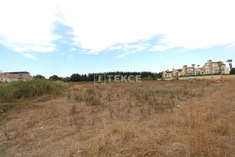 889m² Land in Tan Xuan, Vietnam No. 61906 6