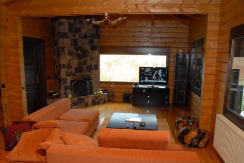 Вилла с 4 спальнями в Центральная Македония, Греция №49753 9