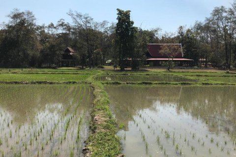 5 bedrooms House in Chiang Mai, Thailand No. 97627 16