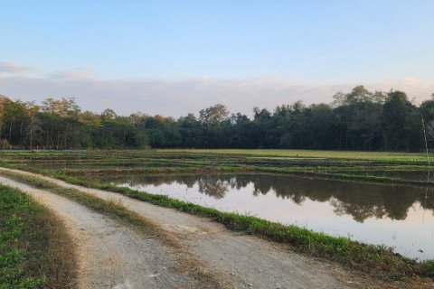 5 bedrooms House in Chiang Mai, Thailand No. 97627 18