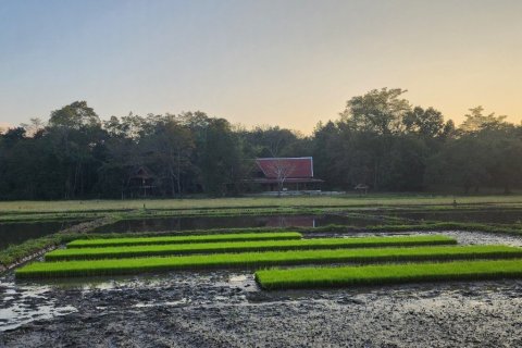 5 bedrooms House in Chiang Mai, Thailand No. 97627 20