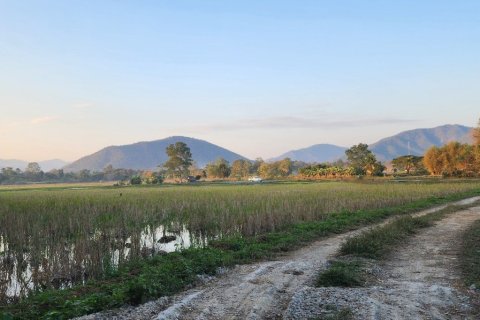 5 bedrooms House in Chiang Mai, Thailand No. 97627 30