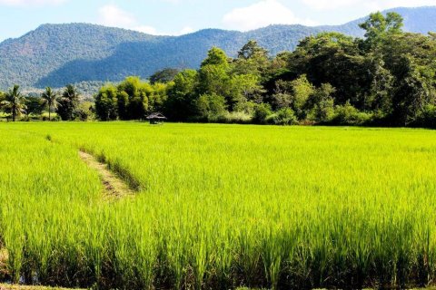 5 bedrooms House in Chiang Mai, Thailand No. 97627 11